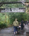 Cloudkick volunteer day at Muir Woods